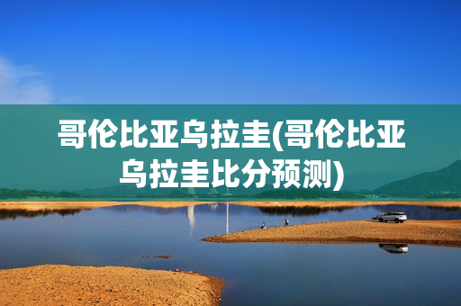 哥伦比亚乌拉圭(哥伦比亚乌拉圭比分预测)