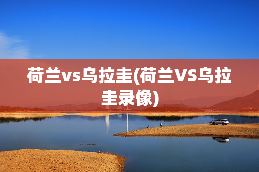 荷兰vs乌拉圭(荷兰VS乌拉圭录像)