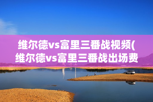 维尔德vs富里三番战视频(维尔德vs富里三番战出场费)