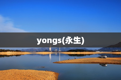 yongs(永生)