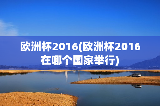 欧洲杯2016(欧洲杯2016在哪个国家举行)